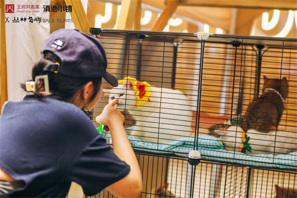 尊龙凯时·(中国区)人生就是搏!