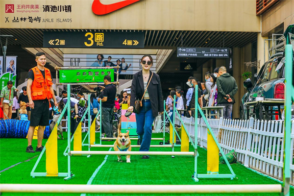 尊龙凯时·(中国区)人生就是搏!